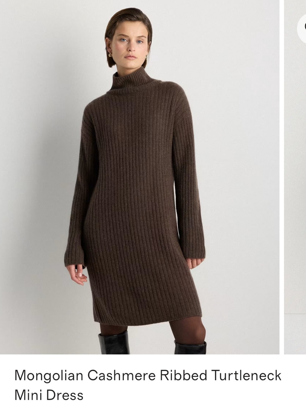 Quince Mongolian Cashmere Ribbed Turtleneck Mini Dress in Brown